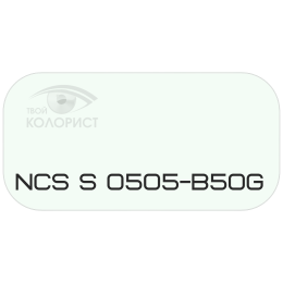 PALINAL 2К полиуретановая эмаль по коду NCS S 0505-B50G