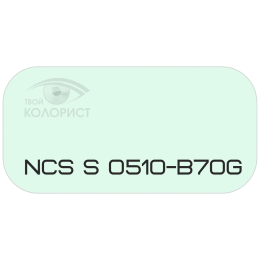 PALINAL 2К полиуретановая эмаль по коду NCS S 0510-B70G