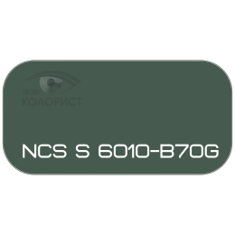 PALINAL 2К акрил-полиуретановая DTM эмаль по коду NCS S 6010-B70G