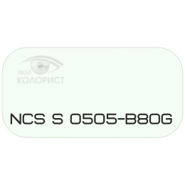PALINAL 2К полиуретановая эмаль по коду NCS S 0505-B80G