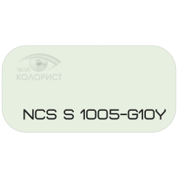 PALINAL 2К полиуретановая эмаль по коду NCS S 1005-G10Y