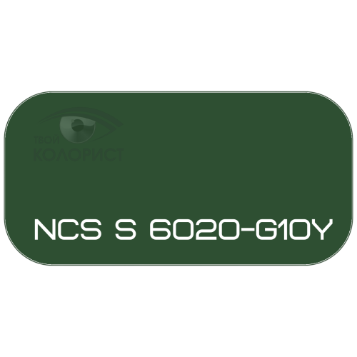 PALINAL 2К акрил-полиуретановая DTM эмаль по коду NCS S 6020-G10Y