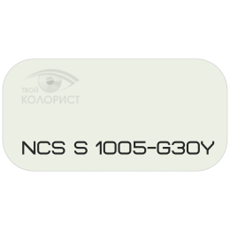 PALINAL 2К полиуретановая эмаль по коду NCS S 1005-G30Y
