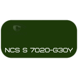 PALINAL 2К акрил-полиуретановая DTM эмаль по коду NCS S 7020-G30Y