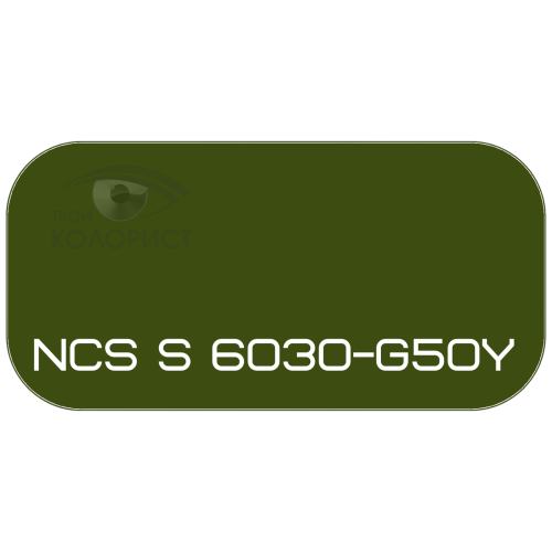 PALINAL 2К акрил-полиуретановая DTM эмаль по коду NCS S 6030-G50Y