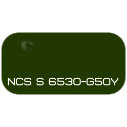 PALINAL 2К акрил-полиуретановая DTM эмаль по коду NCS S 6530-G50Y