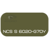 PALINAL 2К акрил-полиуретановая DTM эмаль по коду NCS S 6020-G70Y